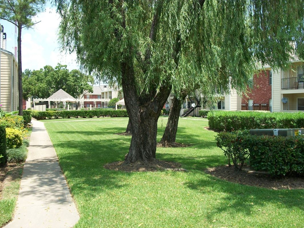 willow-tree-03-courtyard.jpg